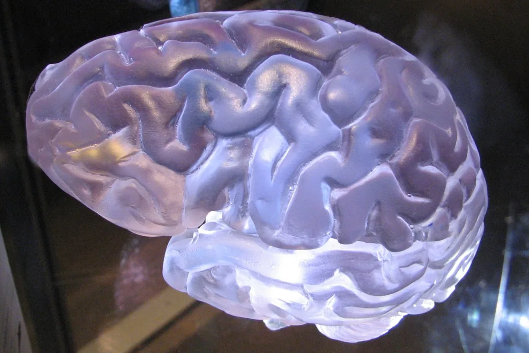 Brain Training Games: Do They Really Improve IQ?