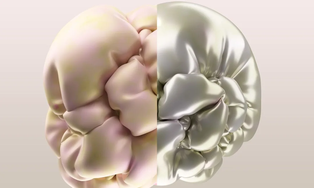 Fluid vs Crystallized Intelligence: Key Differences