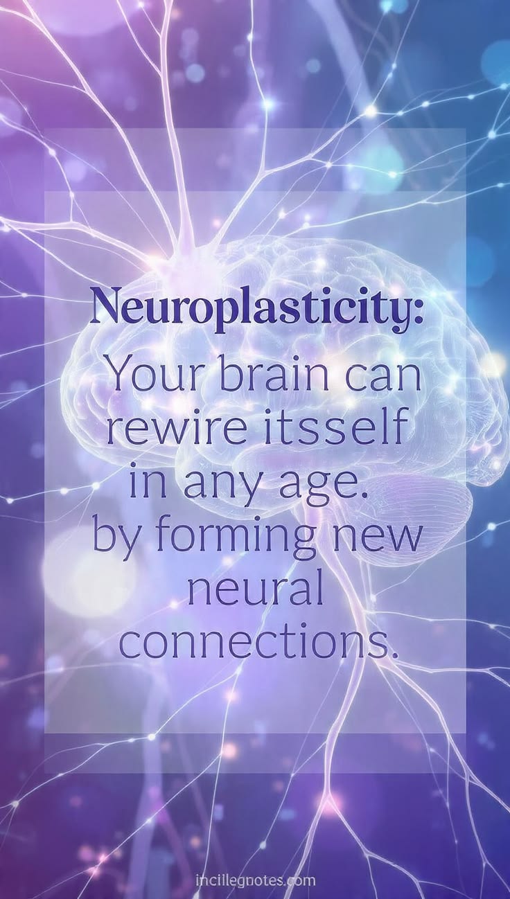 Neuroplasticity: Rewiring Your Brain Effectively
