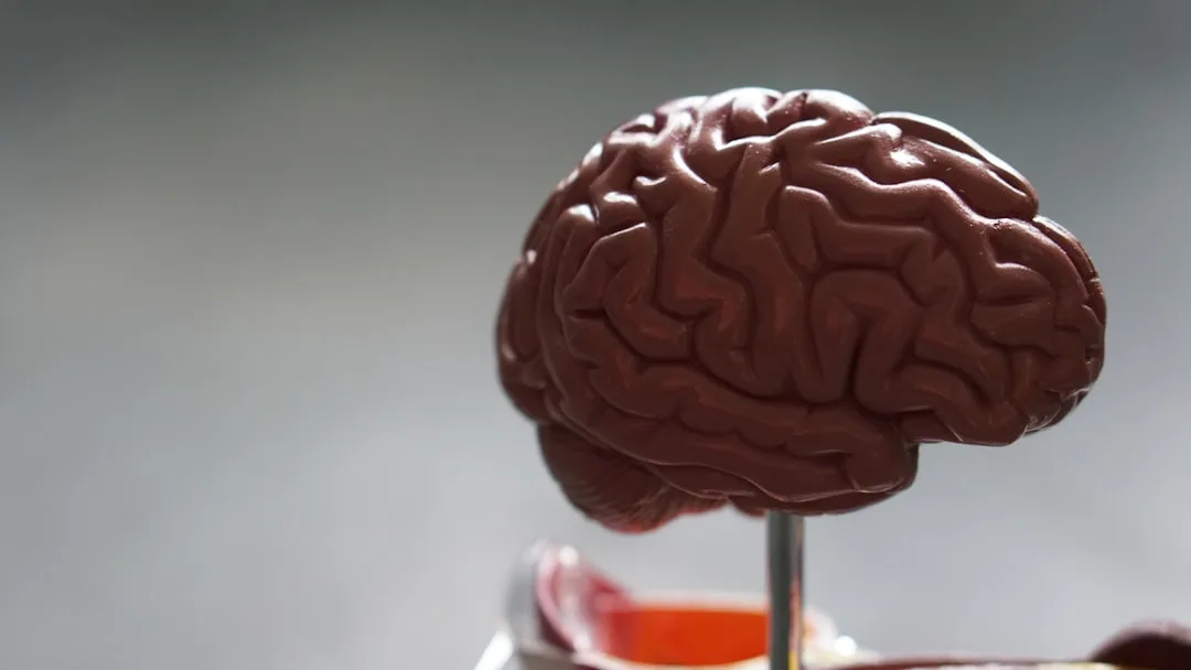Does Brain Training Raise IQ? What Studies Actually Show