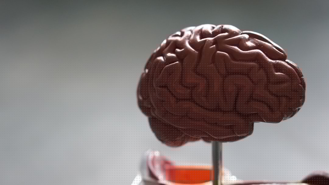 The Science of Mental Fatigue: Why Your Brain Slows Down