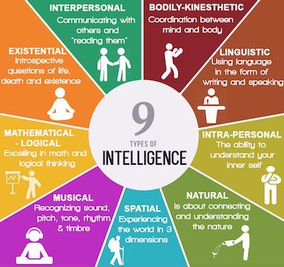 Personality Types and IQ: What Science Says
