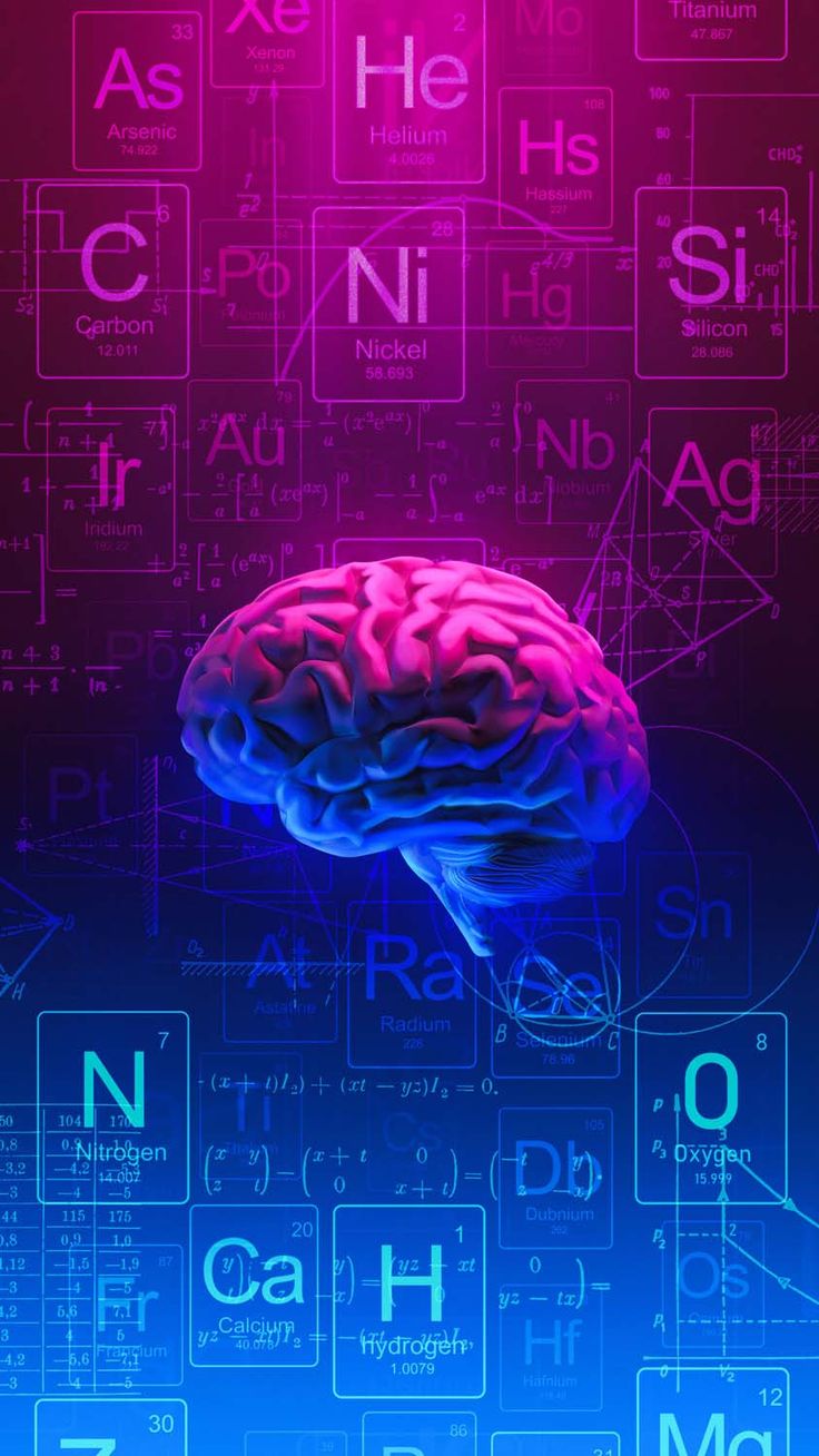 Neuroscience of Intelligence: What Happens in the Brain