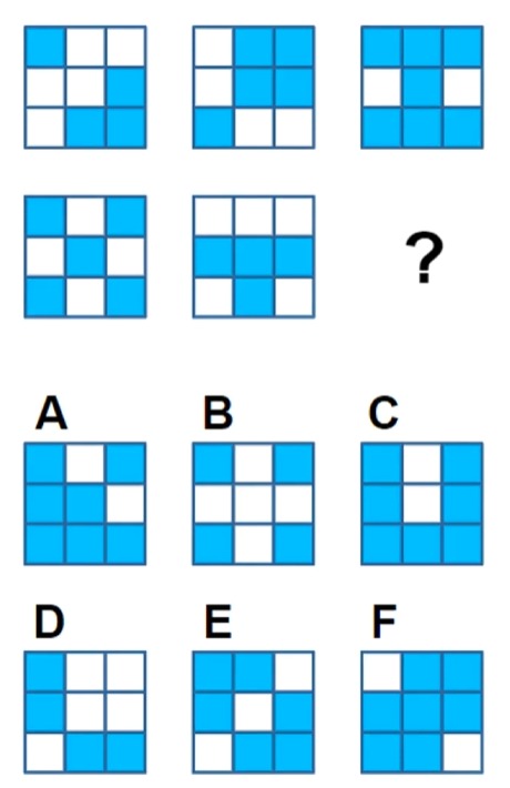 Which Blue and White Grid Completes the Pattern