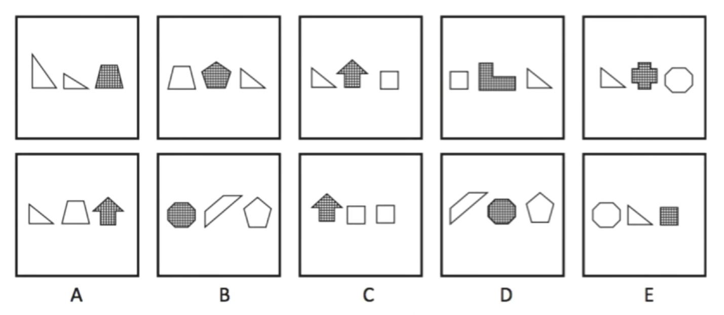 Which Set of Shapes Comes Next?