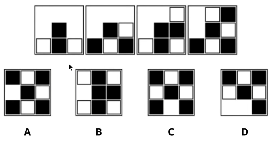 Which Grid Comes Next in the Sequence?