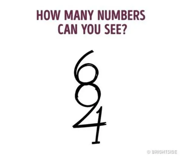 How Many Numbers Can You See?
