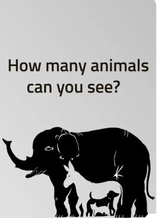 How Many Animals Can You See?