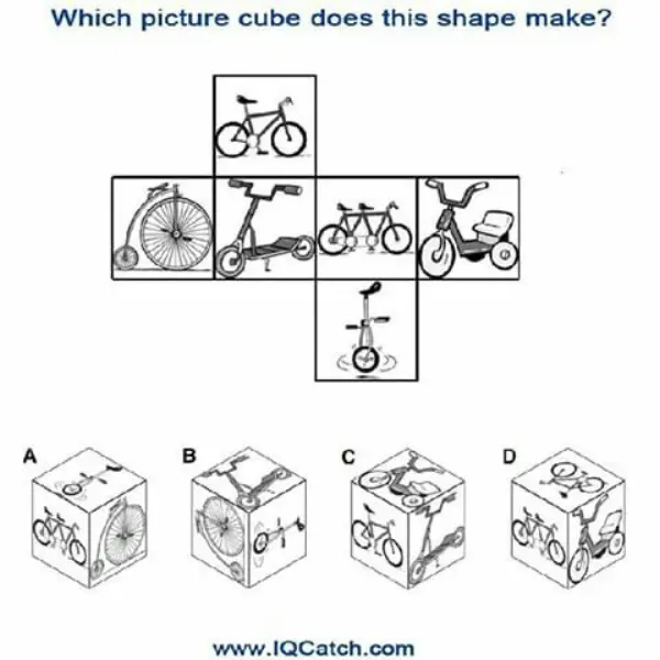 Which Cube Does This Net Make?