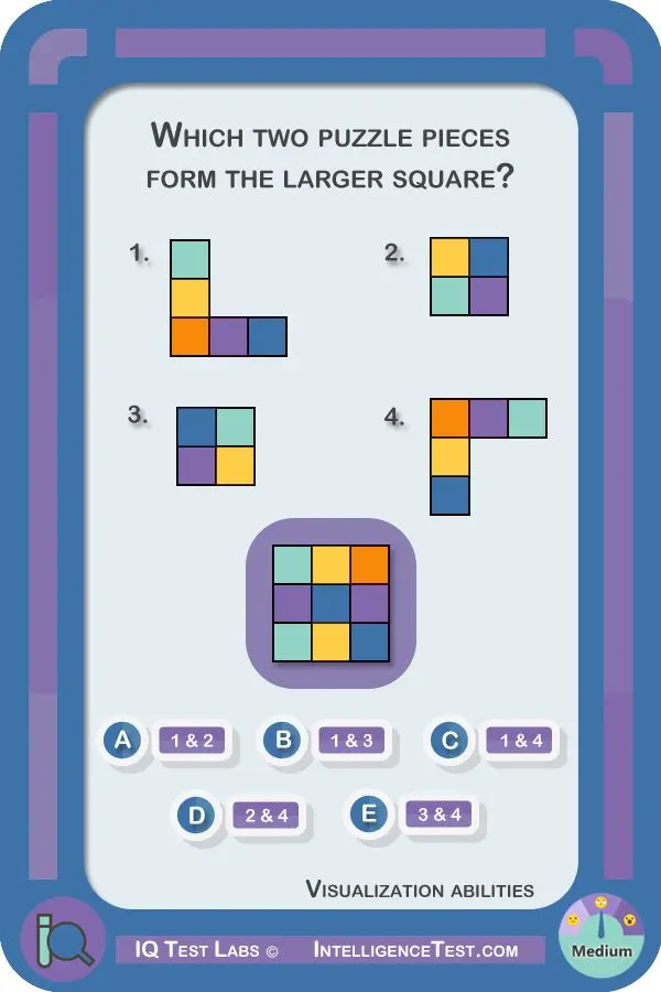 Which Two Puzzle Pieces Form the Large Square?