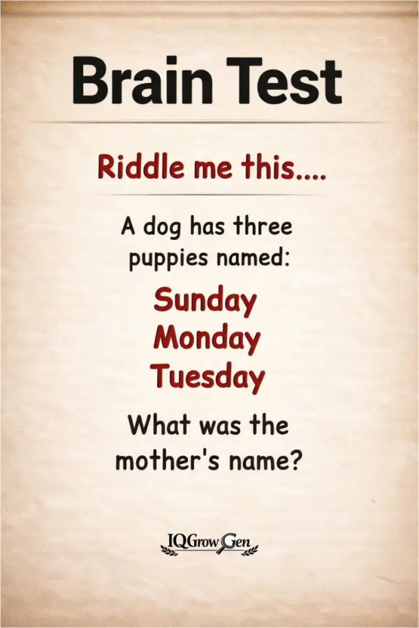 A Dog Has Three Puppies: What Is the Mother Name?