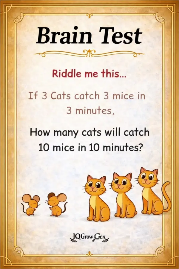 If 3 Cats Catch 3 Mice in 3 Minutes, How Many Cats for 100 Mice?