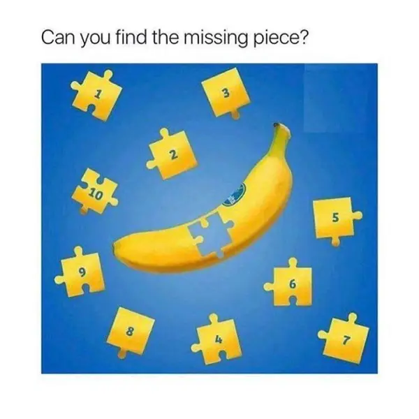 Find the Missing Puzzle Piece
