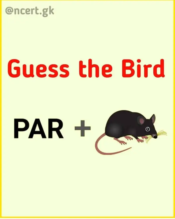 Guess the Bird Hidden in the Image