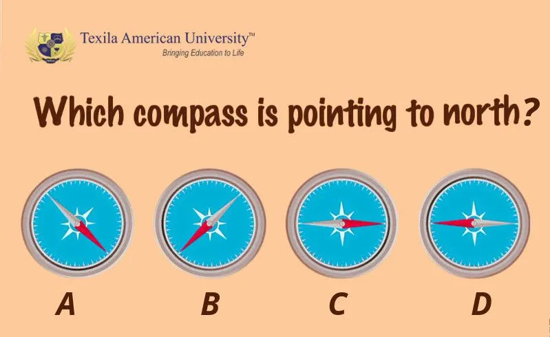 Which Compass is Pointing North?